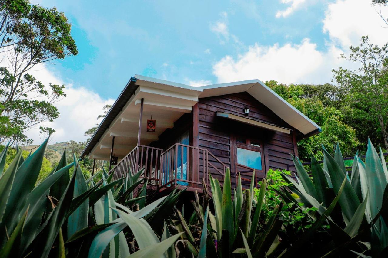 Wild Orchid Eco Tourism مونار المظهر الخارجي الصورة