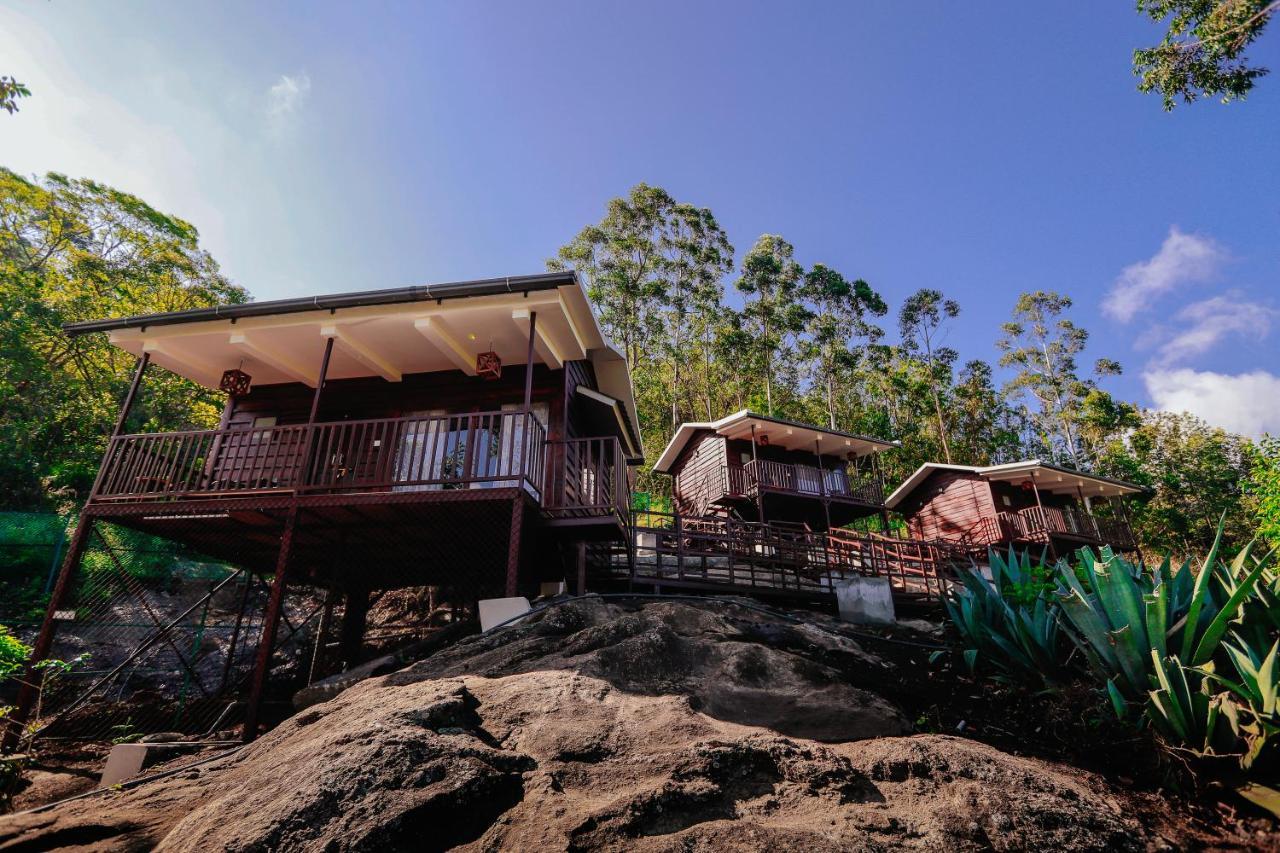 Wild Orchid Eco Tourism مونار المظهر الخارجي الصورة